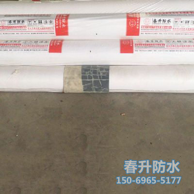 高分子HDPE（EVA）耐根穿刺防水卷材